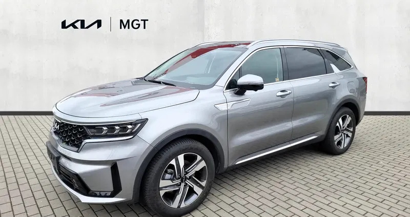 łowicz Kia Sorento cena 229900 przebieg: 10, rok produkcji 2023 z Łowicz